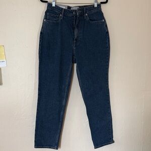 Everlane Dark Blue Curvy Cheeky Jeans